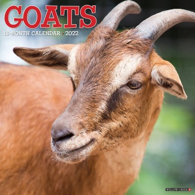 2022 Wall Calendar Goats - Willow Creek Press