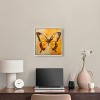 Art Remedy Golden Ochre Butterfly II Elegant Butterfly Wall Art Framed - 2 of 4
