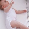 Honest Baby Organic Cotton Fitted Crib Sheet - 2 of 2