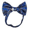 Men's Paisley Design 2.75 W And 4.75 L Inch Pre-Tied adjustable Bow Tie - 2 of 3