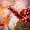 5'L Sullivans Leaf And Pinecone Garland, Multicolored - 2 of 3