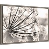 Amanti Art Floral Cow Parsnip by Jaynes Gallery Danita Delimont Canvas Wall Art Print Framed 23 x 16-in. - 2 of 4