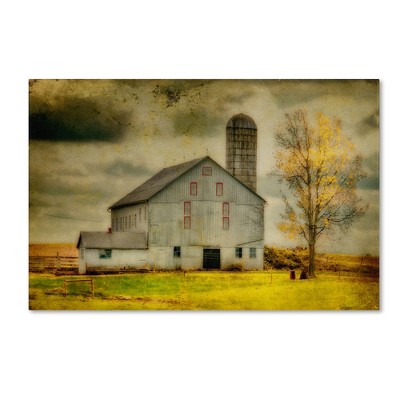 Trademark Fine Art - Lois Bryan 'Old Barn on Stormy Afternoon'