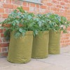 Tierra Garden Potato/Tomato Patio Planter 3pk - 3 of 4
