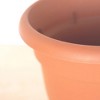Bloem Ariana Round Resin Planter Pot Indoor and Outdoor Gardening - 2 of 4