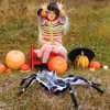Halloween Decorations Big Spider Black Soft Hairy Scary Spider Fake Large Pops for Halloween Outdoor Yard Party - 3 of 4
