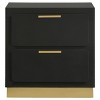Modern Luxury 2-drawer Bedroom Nightstand Black Gold Finish Bedroom Wooden Furniture - 3 of 4