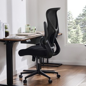 Mesh Breathable  Backrest Computer Chair With Lumbar And Back Support,Adjustable Height Flip-Up Armrests Home Office Chair-Cuddlewood - 1 of 4
