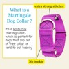 Country Brook Petz HossFit Jr Wide Martingale Dog Collar - Training Collar with No Buckle - Vibrant, Colorful Collection - 3 of 4