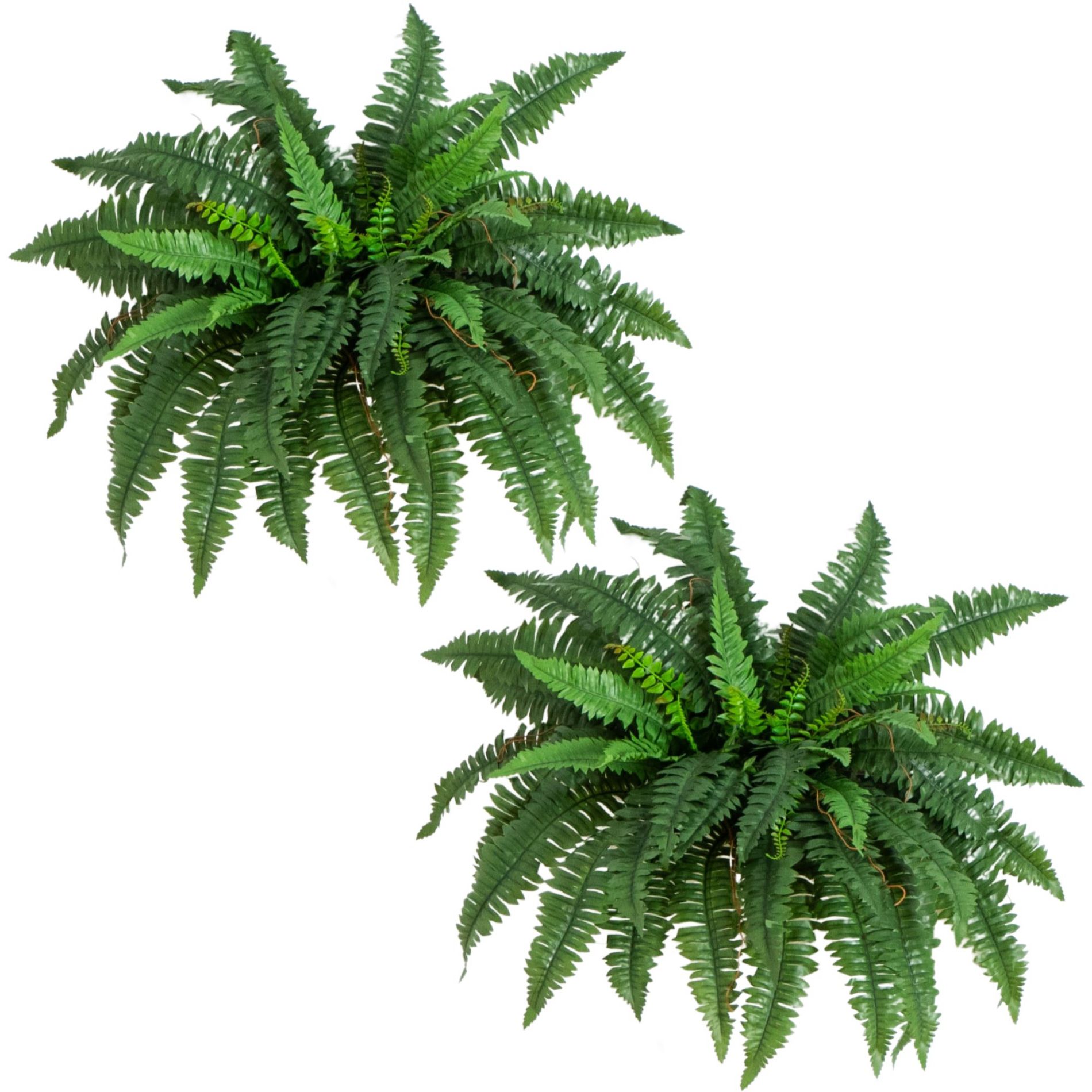 Nearly Natural 40-in Boston Fern (Set of 2)