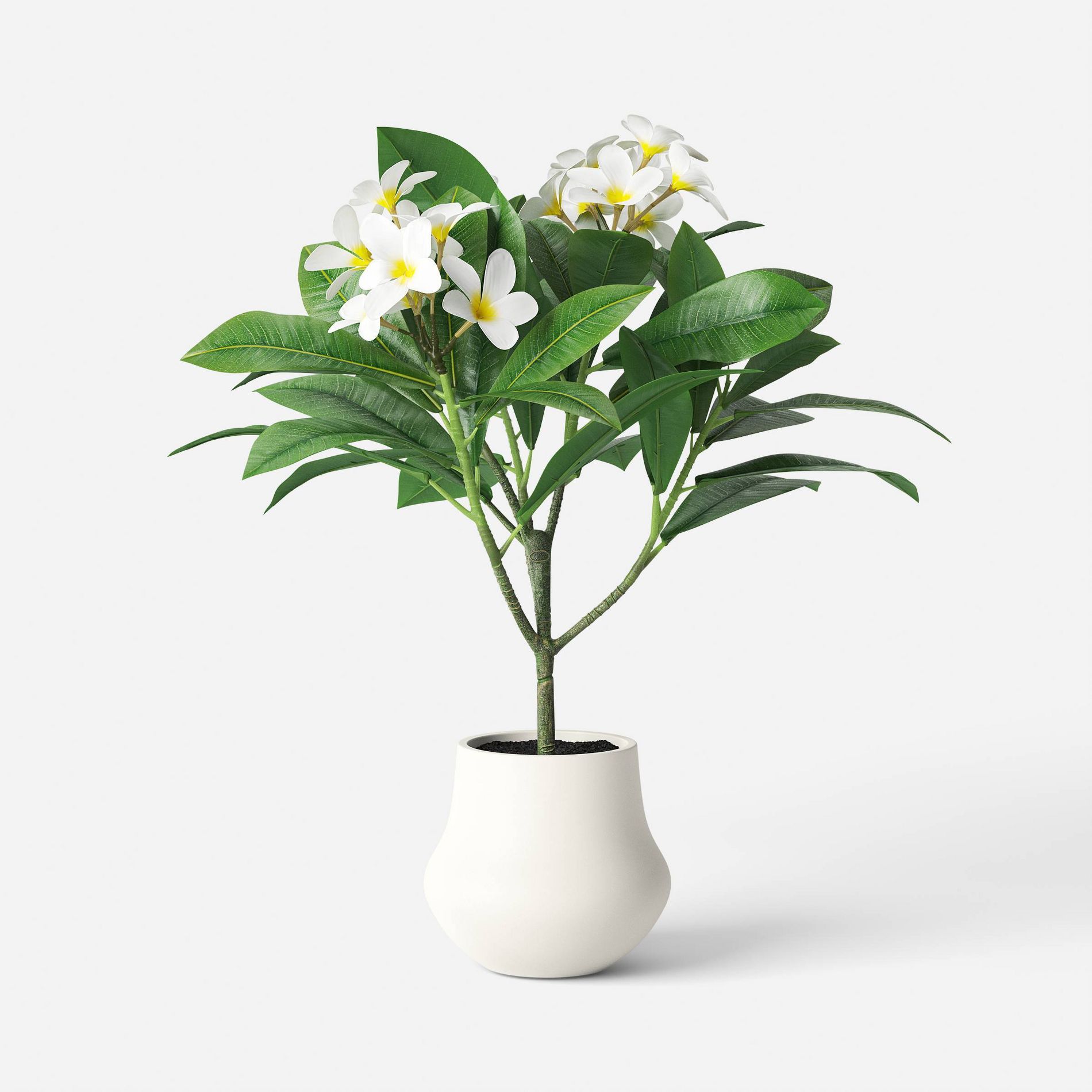 Frangipani Potted Artificial Plant - Threshold™