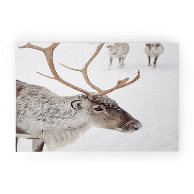 Henrike Schenk Travel Photography Reindeer With Antlers Art Print Tromso Norway Animal Snow Photo Welcome Mat - Society6