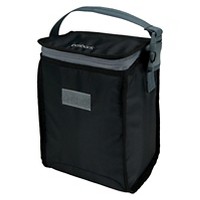 Insulated lunch bag