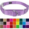 Country Brook Petz Heavyduty Nylon Martingale with Premium Buckle - 3 of 4