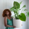 Bloem Mathers Round Resin Planter Pot Indoor and Outdoor Gardening - 2 of 4