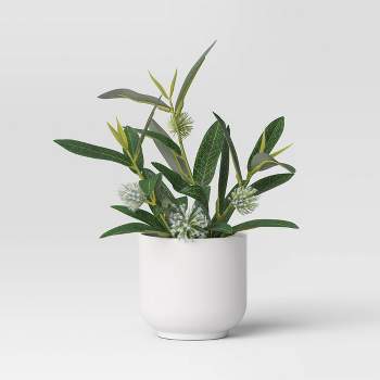 Artificial Dieffenbachia Floor Plant - 40-inch Potted Faux Greenery For  Home Or Office Decoration – Natural Looking Polyester Leaves By Pure Garden  : Target