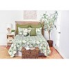 C&F Home Magnolia Garden Cotton Quilt Set  - Reversible and Machine Washable - 2 of 4