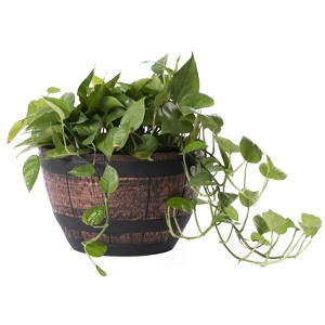 Gardenised Brown Outdoor Rustic Half Barrel Flower Garden Planter Bowl, Plastic - 1 of 4