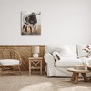 Stupell Industries Longhorn Cattle Painting Canvas Wall Art - 2 of 4