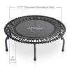 JumpSport 430 44-Inch In-Home Rebounder Fitness Trampoline with Long-Lasting Premium Bungees and Included Workout DVDs - 2 of 4