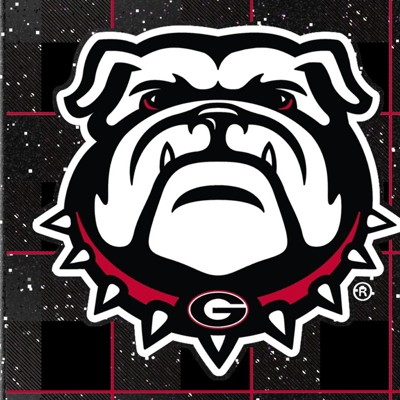 georgia bulldogs uga