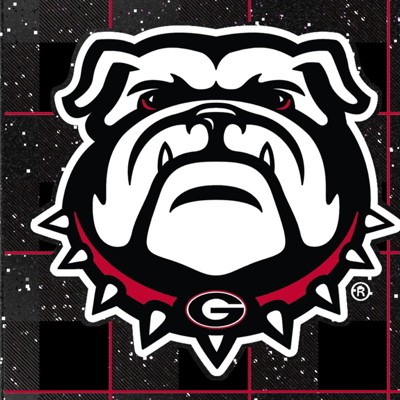 georgia bulldogs uga