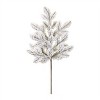 Flocked Pine Spray (Set of 6) - 2 of 2