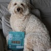 Dog Treat Naturals Superfood Sticks - Chicken & Cranberry 10oz, All-Natural - 4 of 4