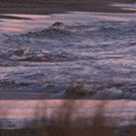 farmhouse gray