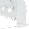NicBex 11.5'x10'x6.5' Walk-in Tunnel Greenhouse with Roll-up Windows and Zippered Door, PE Cover for Growing Flowers, Vegetables, Saplings, White - 3 of 4