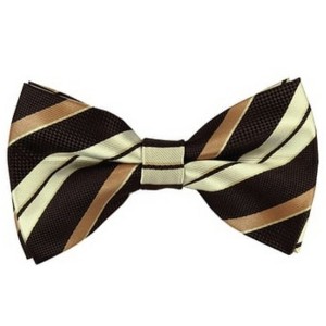 Men's Stripe Color 2.75 W And 4.75 L Inch Pre-Tied adjustable Bow Ties - 1 of 3