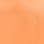 orange melon