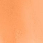 orange melon