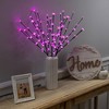 Northlight Set of 3 Pre-Lit Cherry Blossom Artificial Tree Branches 2.5' - Fuschia LED Lights - 2 of 4