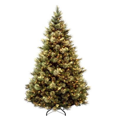 Photo 1 of National Tree Company 6.5 ft. Carolina Pine Tree with Clear Lights