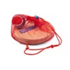 Outdoor Beach Games Toss and Catch - Bullseye's Playground™ - 3 of 3