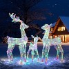 VINGLI Lighted Reindeer Christmas Decoration, 3-Piece Deer Family Set with Pre-lit 270 LED, Christmas Deers,Timer Remote Control, Plug-in, Transparent - 2 of 4