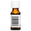 Aura Cacia Balancing Rose Otto in Jojoba Oil Pure Essential Oil - 0.5 fz - image 2 of 4