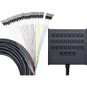 Livewire Advantage 24x4 Snake With XLR Returns 100 ft. Black - 1 of 4