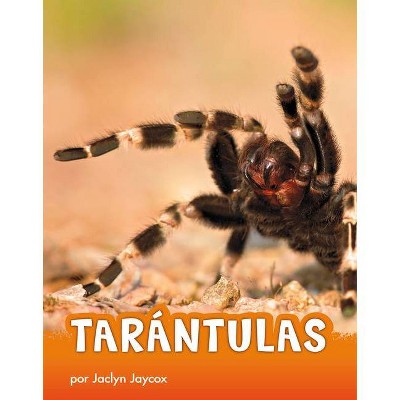 Tarántulas - (Animals en Espanol) by  Jaclyn Jaycox (Hardcover)