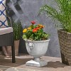Syemin Planter, Antique Urn Style Planter, Elegant Decorative Flower Pot for Garden, Patio, Porch, Black, 12.75"*12.75"*13" - 3 of 4