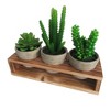 Rustic Style Artificial Succulent Plants Decorative Faux Fake Cactus Cacti Succulents with Pot Removable Wood Display Stand Indoor Office Home Décor - 3 of 4