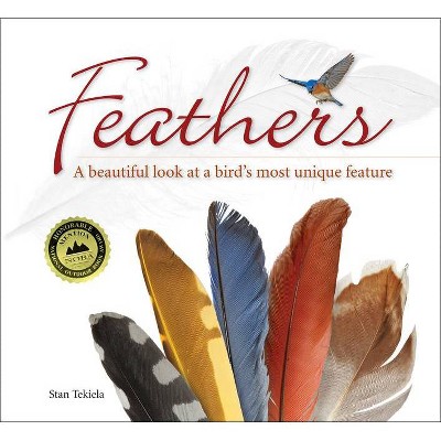 Feathers - (Nature Appreciation) by  Stan Tekiela (Paperback)