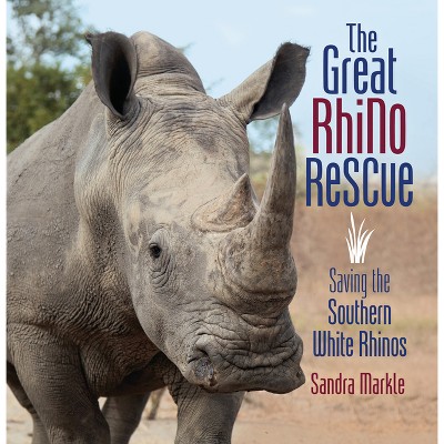 The Great Rhino Rescue - (Sandra Markle's Science Discoveries) by  Sandra Markle (Paperback)