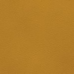 seth freakin rollins