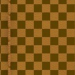 seth freakin rollins