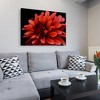 Trademark Fine Art -Red Dhalia by Kurt Shaffer-Gallery Wrapped 18x24 Canvas - 2 of 2