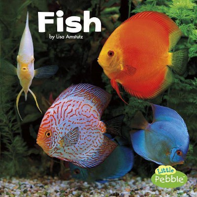 Fish - (Our Pets) by  Lisa J Amstutz (Paperback)