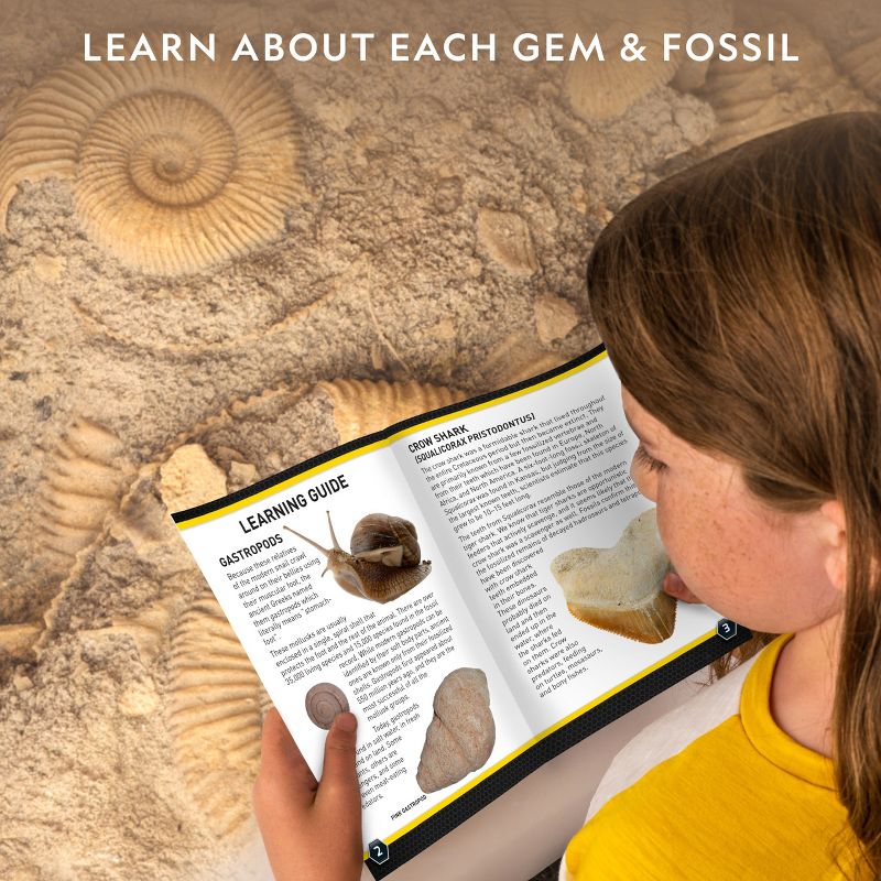 NATIONAL GEOGRAPHIC Mega Fossil & Gemstone Dig Kit, Excavate 10 Real Fossils & 10 Real Gems, STEM Science Gift for Mineralogy and Geology Enthusiasts, 6 of 10