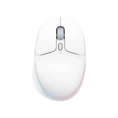 Evo Bytes Customizable RGB Wireless Gaming Mouse